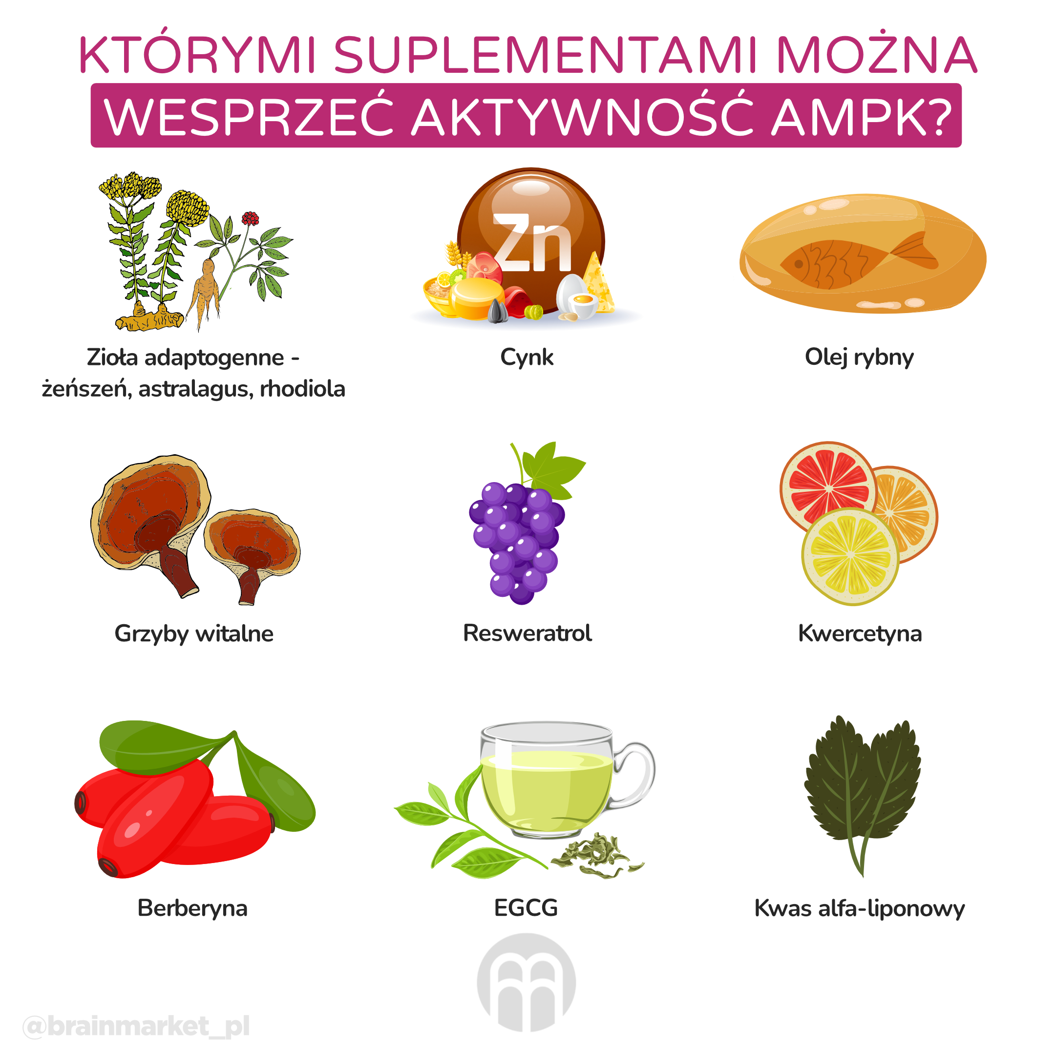 kterymi doplny lze podporiz aktivitu ampk_infografika_pl